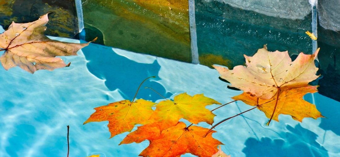 Quand faire son hivernage piscine en gironde ?