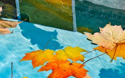 Quand faire son hivernage piscine en gironde ?