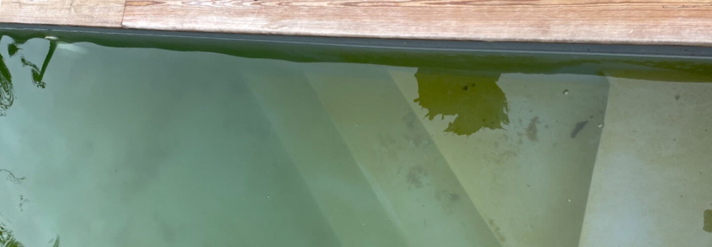 comment nettoyer une piscine à eau verte, nos astuces de professionnels piscine